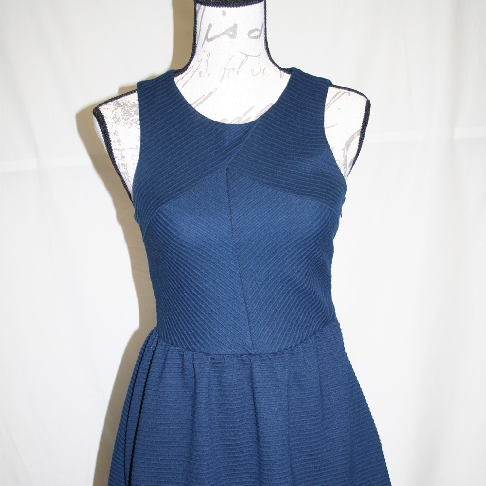 Francesca’s Dress